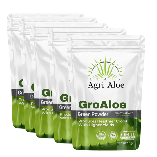 GroAloe - 10 gm (5 pack)